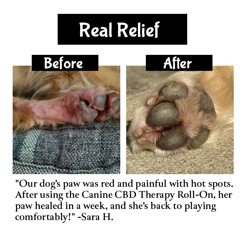 "Our dog’s paw was red and painful with hot spots. After using the Canine CBD Therapy Roll-On, her paw healed in a week, and she’s back to playing comfortably!"
