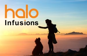 halo infusions pet CBD products