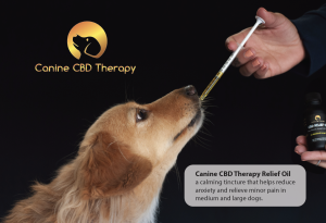 Canine CBD Therapy Product Card