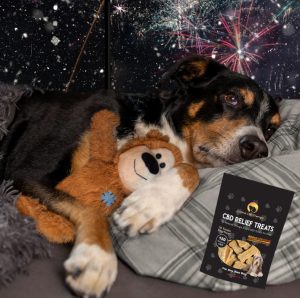 cbd for dogs fireworks fear cbd for dogs fireworks fear