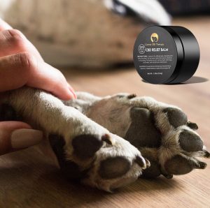 rub on for sore dogs paws rub on for sore dogs paws